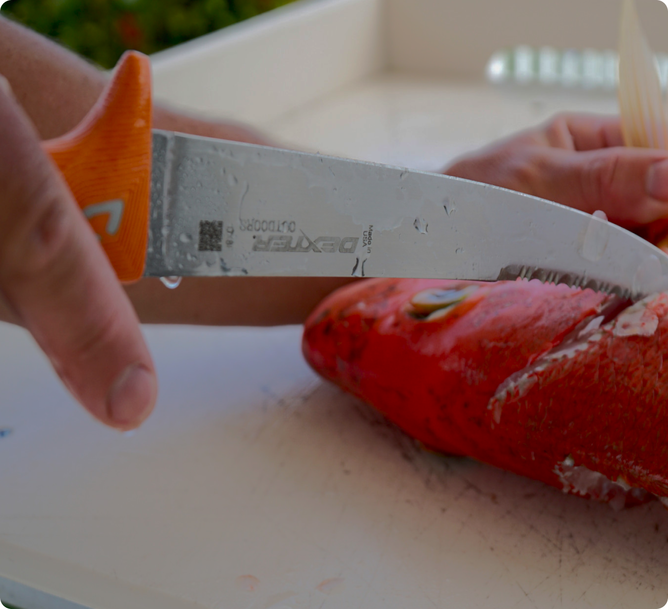 Dexter Outdoors Testimonials